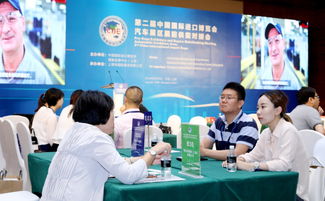 第二届中国国际进口博览会汽车展区和服务贸易展区展前供需对接会举行